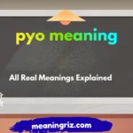 pyo meaning