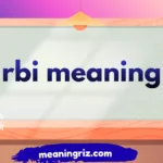 rbi meaning