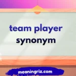 team player synonym