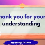 thank you for your understanding