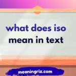 what does iso mean in text