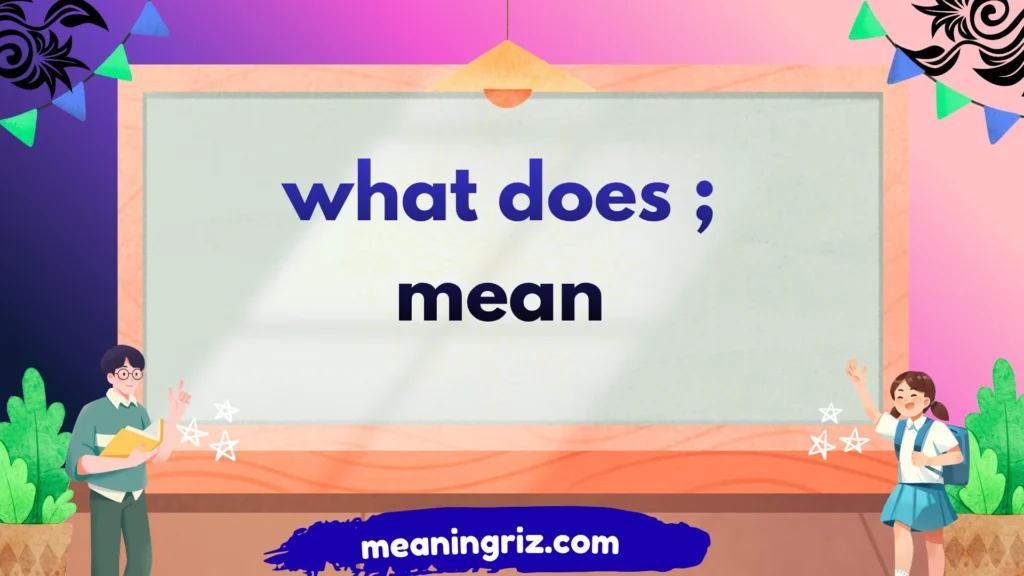 what does ; mean