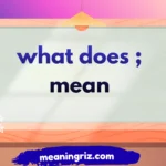 what does ; mean