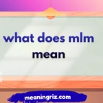 what does mlm mean