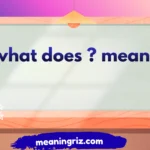 what does question mean