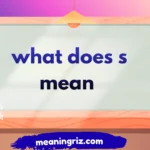 what does s mean in text