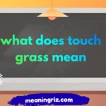 what does touch grass mean