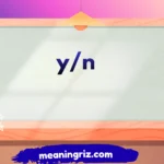 yn